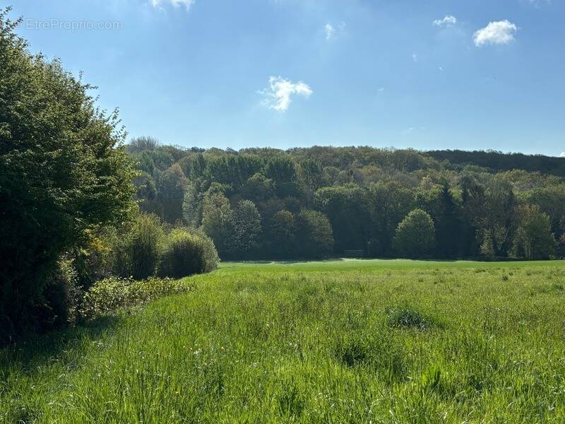 Terrain à MONTREUIL-AUX-LIONS