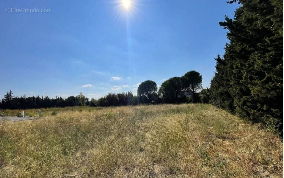 Terrain à LEZIGNAN-CORBIERES
