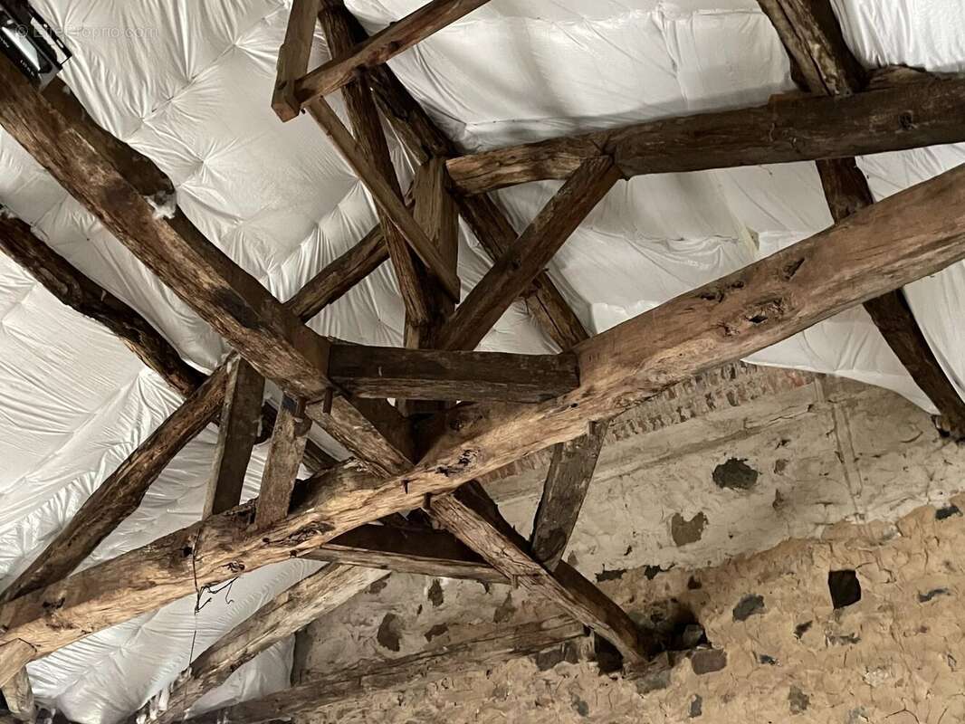 Bien rare et unique: Château à rénover situé sur une île - photo 16