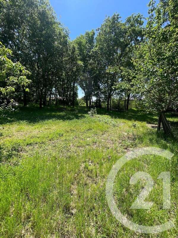 Terrain à MONTAUBAN