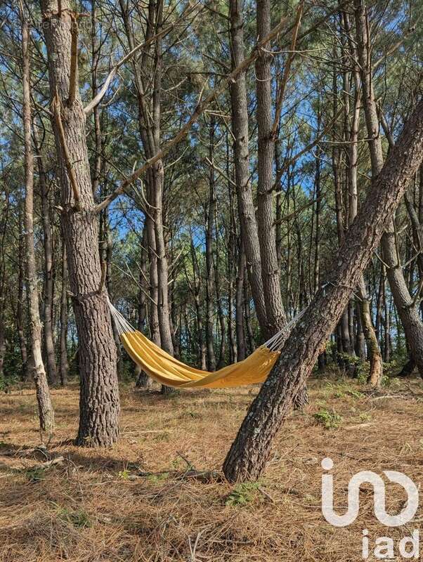 Photo 4 - Maison à SAINT-CHRISTOPHE-DE-DOUBLE