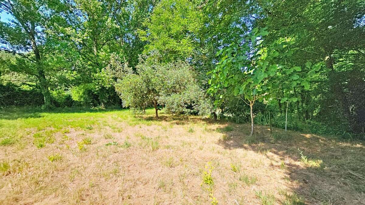 En exclusivité sur VIDAUBAN (Var) Maisonnette sur 3900m² - photo 8
