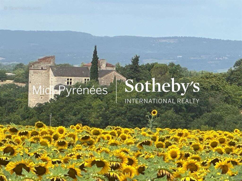 Maison à CORDES-SUR-CIEL