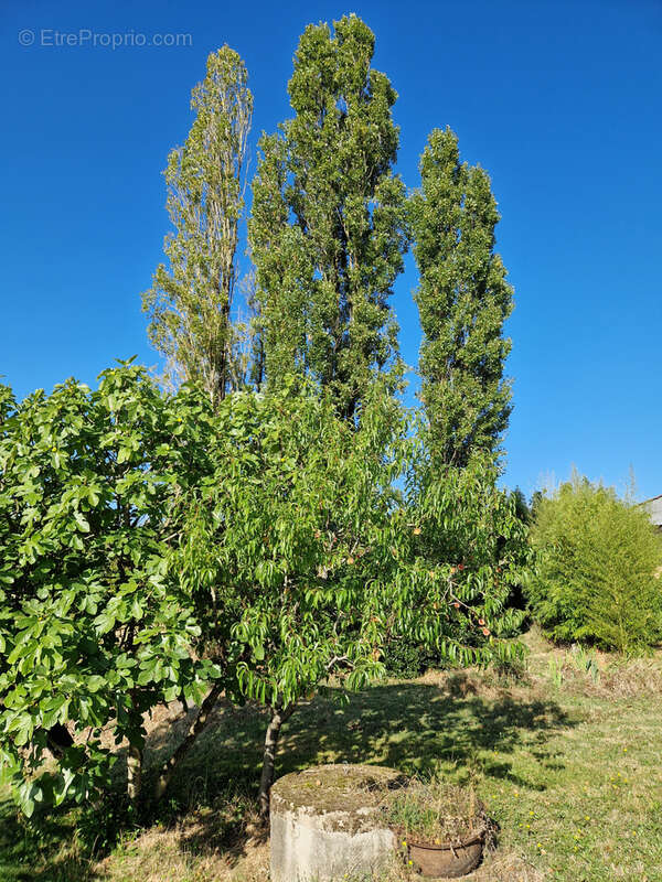 Maison à SAINT-EUTROPE-DE-BORN