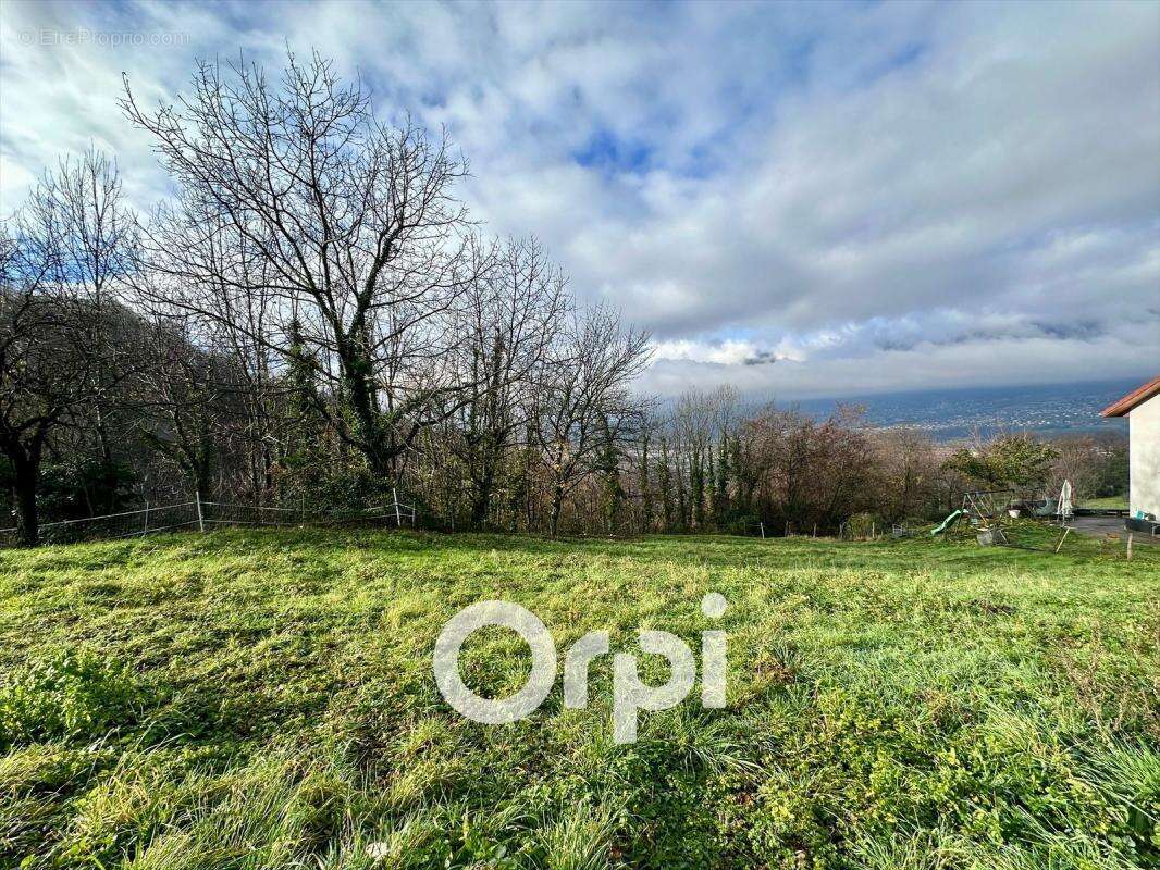 Terrain à LA COMBE-DE-LANCEY