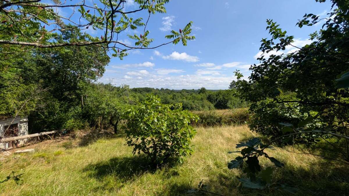 Maison au coeur de la nature proche de Bergerac - photo 10