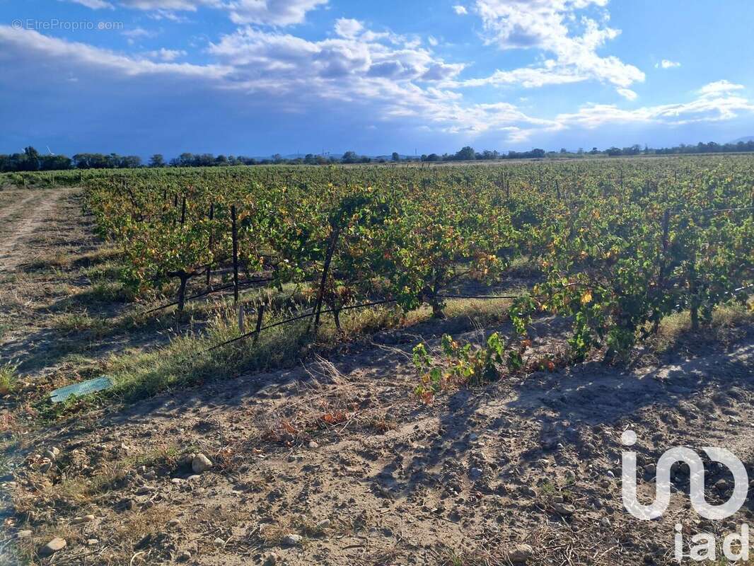 Photo 4 - Terrain à CANET