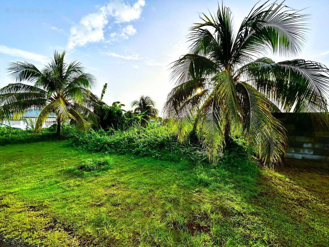 Terrain à CAPESTERRE-BELLE-EAU