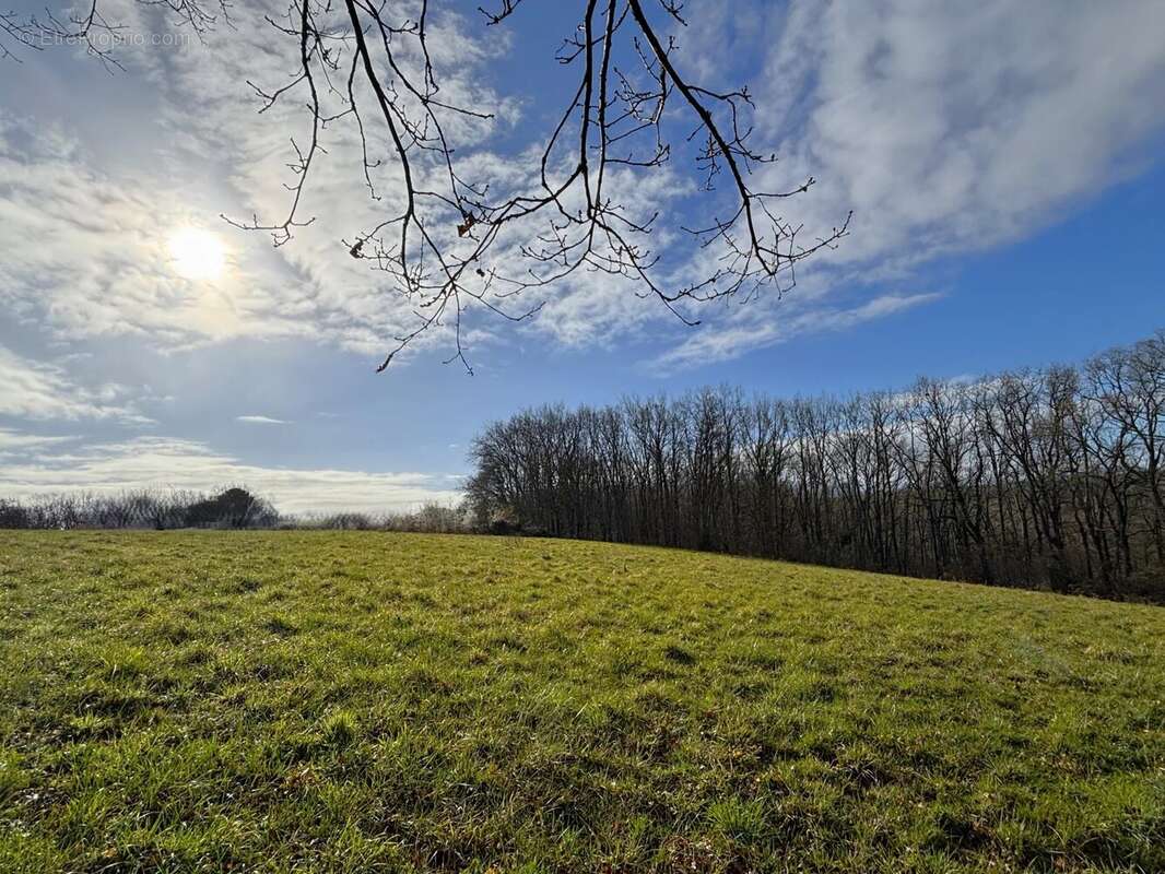 Terrain à POUYASTRUC