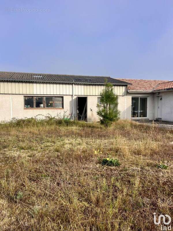 Photo 5 - Appartement à SAINT-VINCENT-DE-TYROSSE