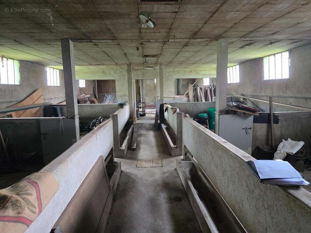 Photo 9 - Maison à LOUHANS