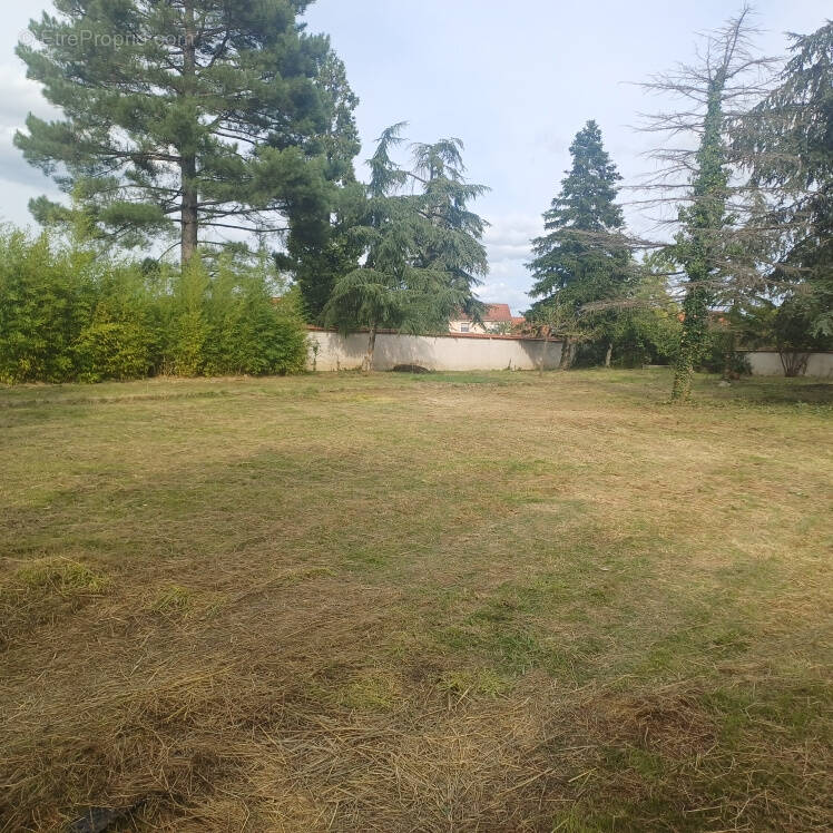 Terrain à SAVIGNEUX