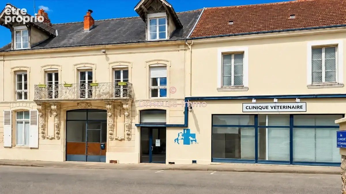 Maison 20 pièces 448 m² à vendre à Mamers (72600) - photo 4