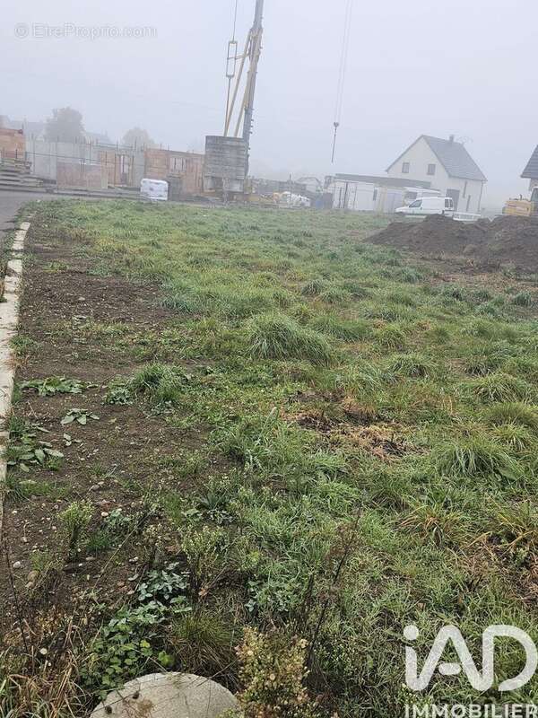 Photo 2 - Terrain à OBERHERGHEIM