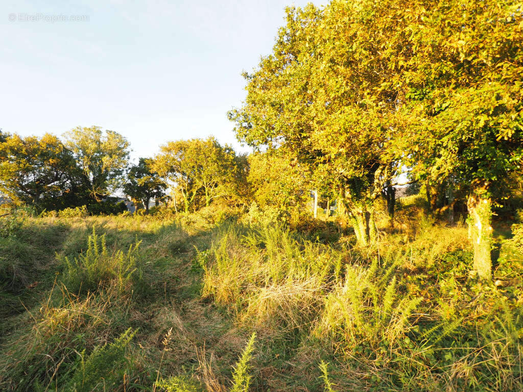 Terrain à CONCARNEAU