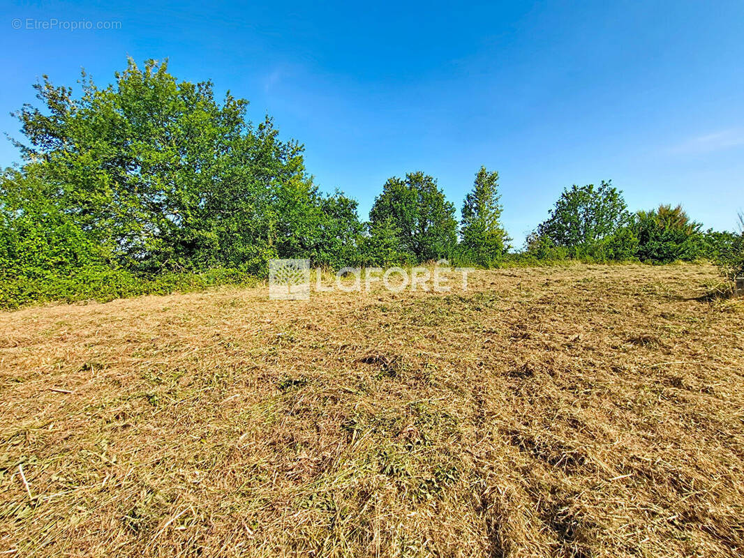 Terrain à MONCLAR-DE-QUERCY