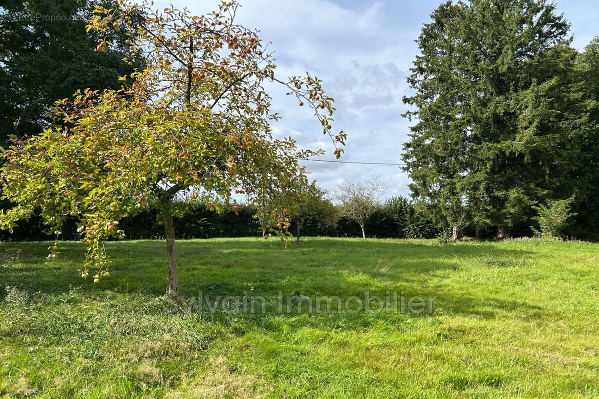 Terrain 2258 m² à Abancourt  - photo 3