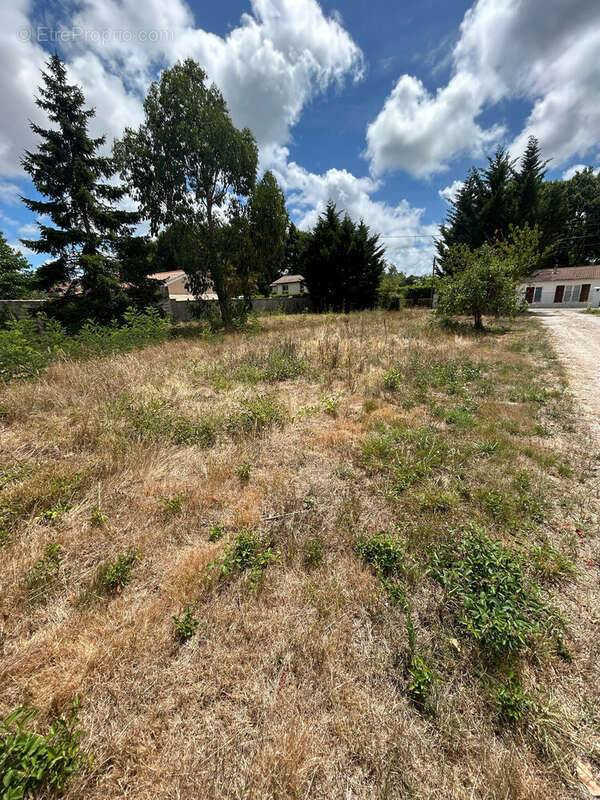 Terrain à SAINT-VIVIEN-DE-MEDOC