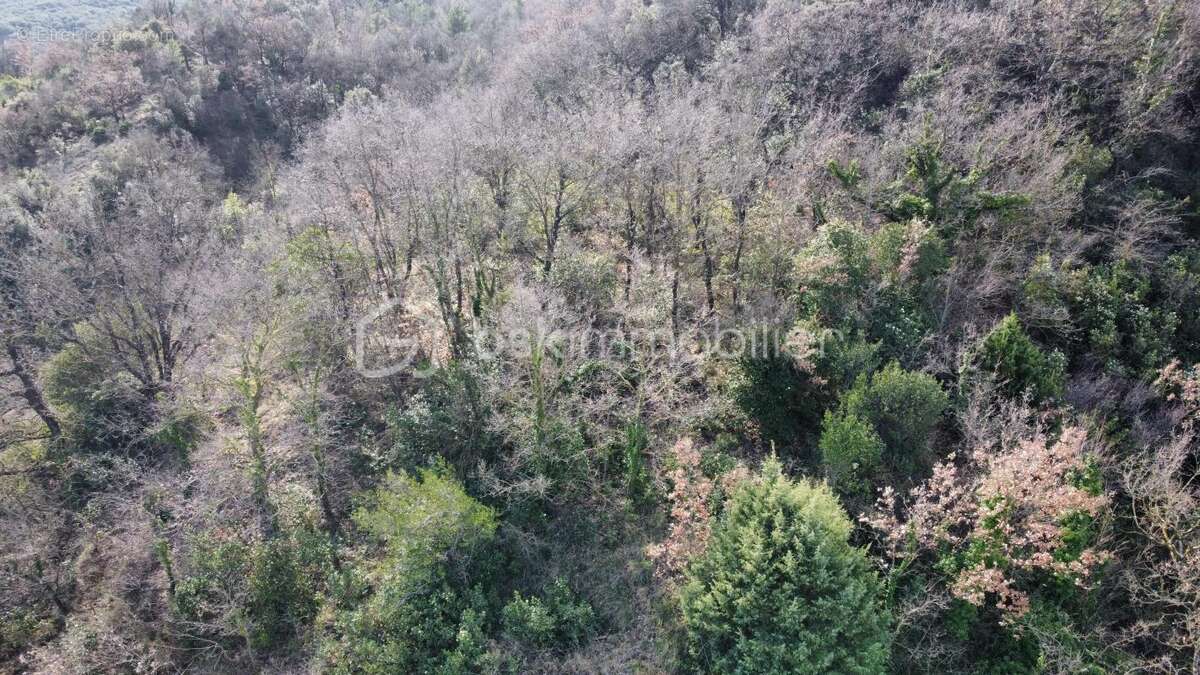 Immeuble en pierre avec ancien restaurant, appartement rénové et terrain de 2900 m² – Fort potentiel – Le Teil - photo 9