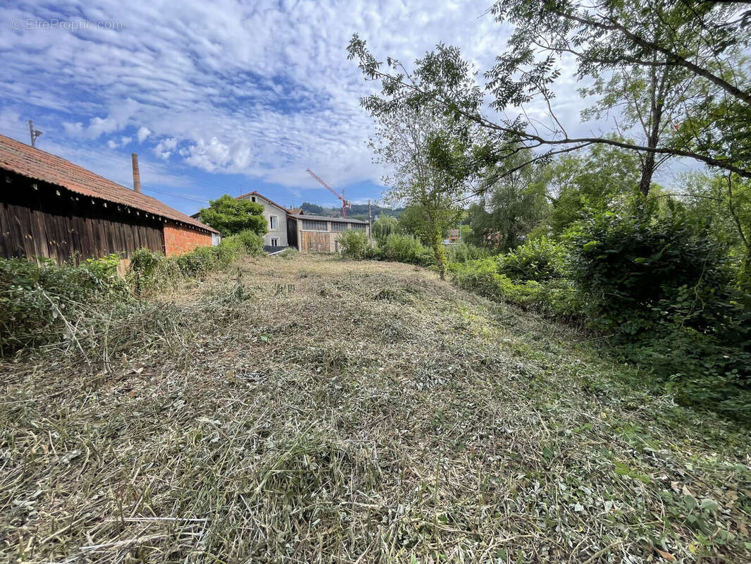 Terrain 1235 m² à Cours-La-Ville  - photo 5