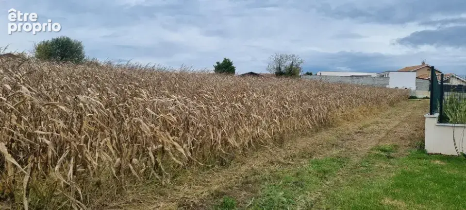 Terrain à SAINT-JEAN-DE-THURIGNEUX