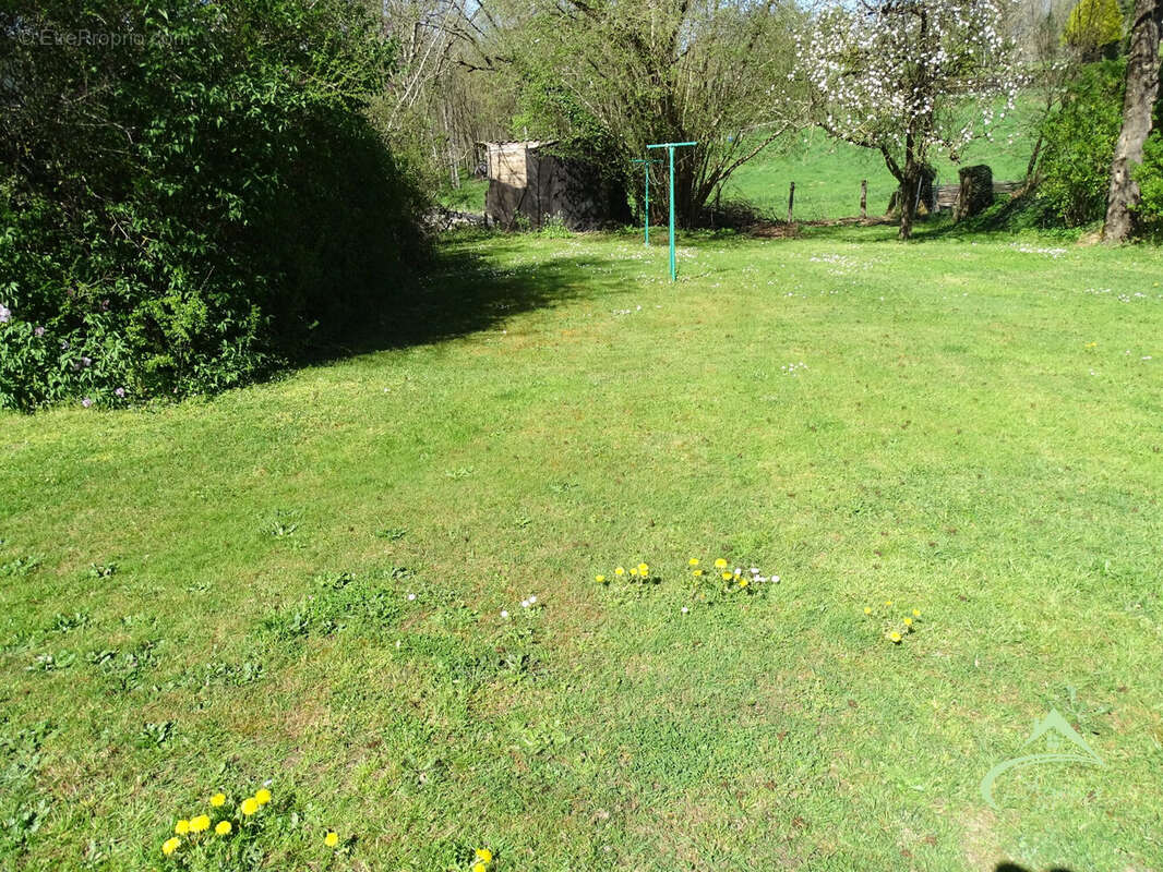 jardin non antennant - Maison à ROCHECHOUART