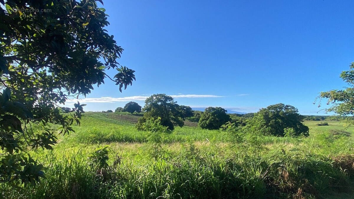 Maison à GRAND-BOURG