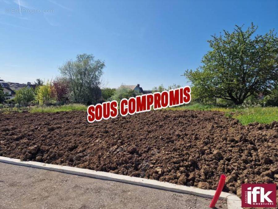Terrain à PFAFFENHEIM