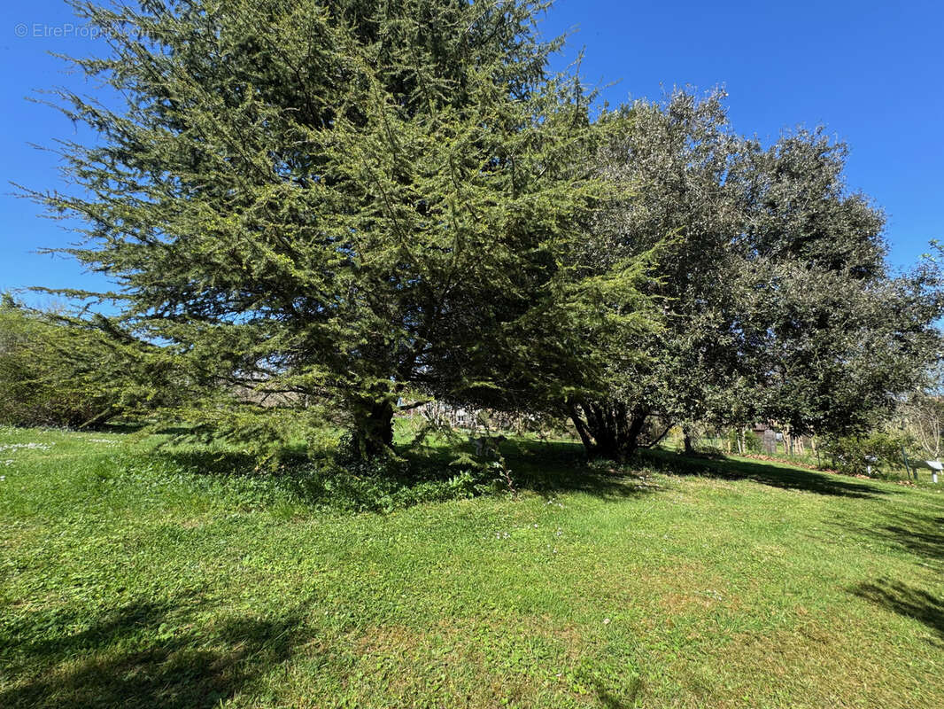 Maison à SAINT-ANDRE-DE-LIDON