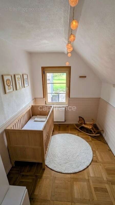 Maison individuelle Semi plain-pied - 117 m² - 3 chambres + bureau – cour – garage - dépendances – Valenciennes - photo 9