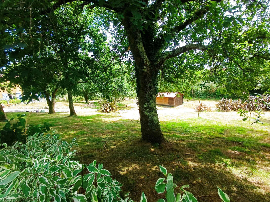 1 min de Daoulas Maison 4 chambres avec vie de plain pied - photo 2