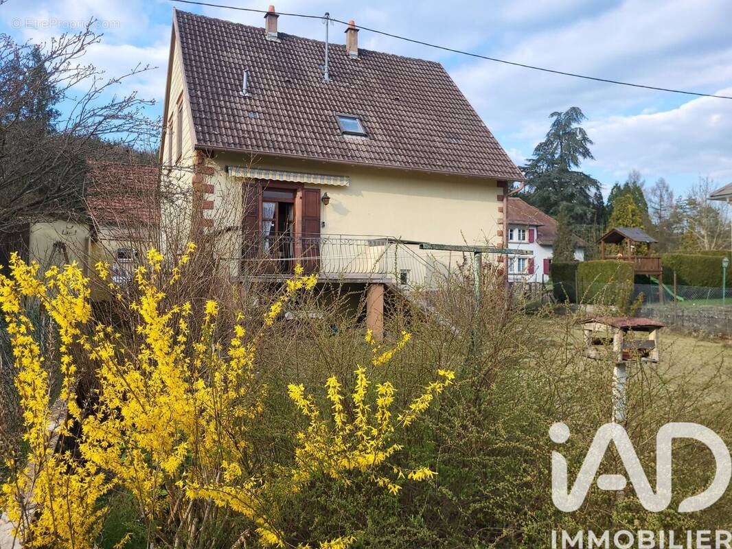 Photo 1 - Maison à WINGEN-SUR-MODER