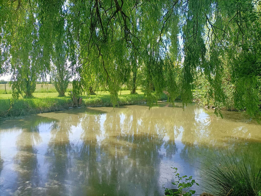 Maison à TONNAY-CHARENTE