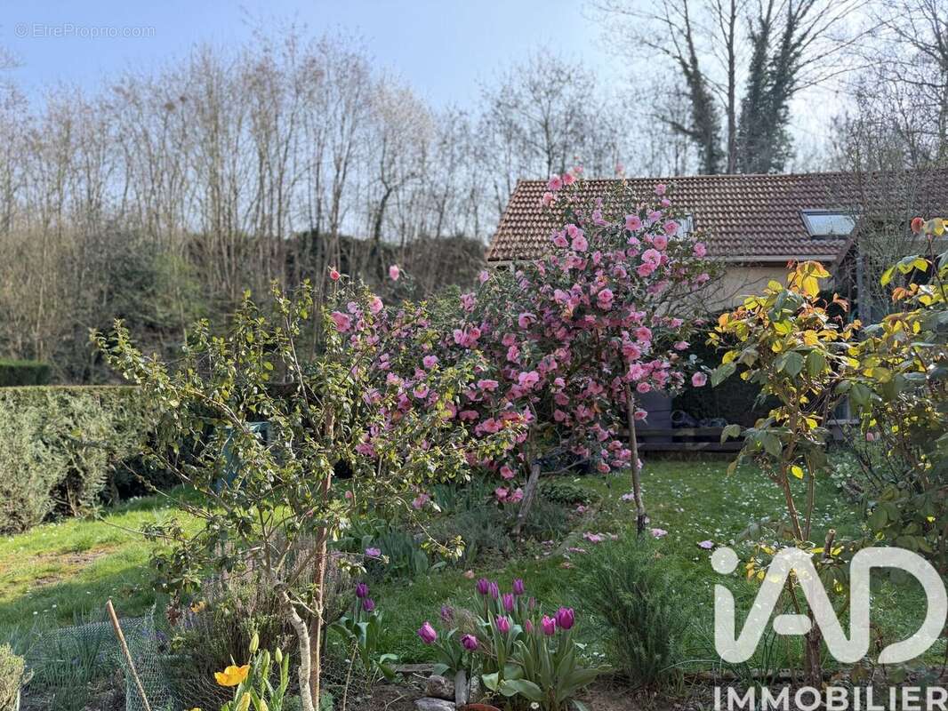 Photo 2 - Maison à VILLEBON-SUR-YVETTE