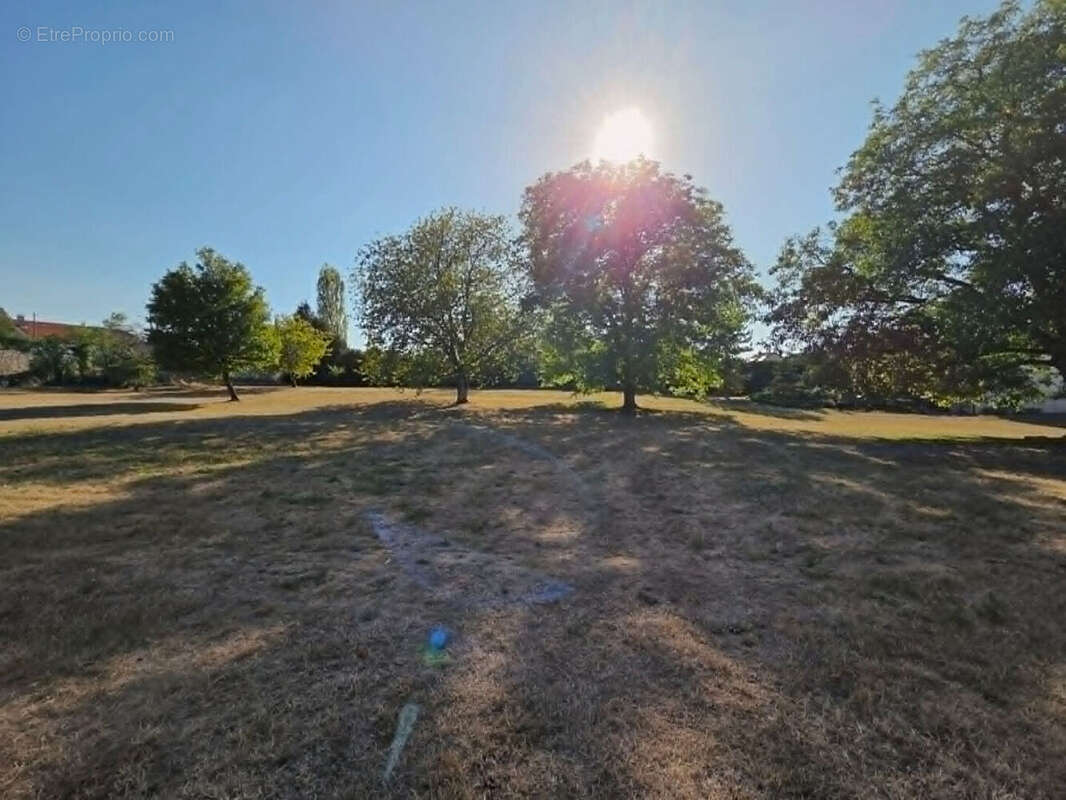 Terrain Biesles 3472 m2 - photo 3