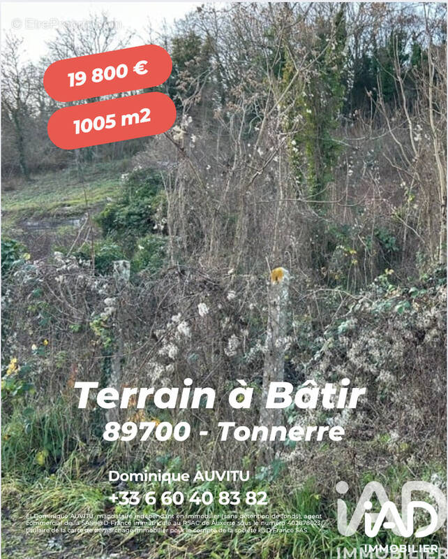 Photo 1 - Terrain à TONNERRE