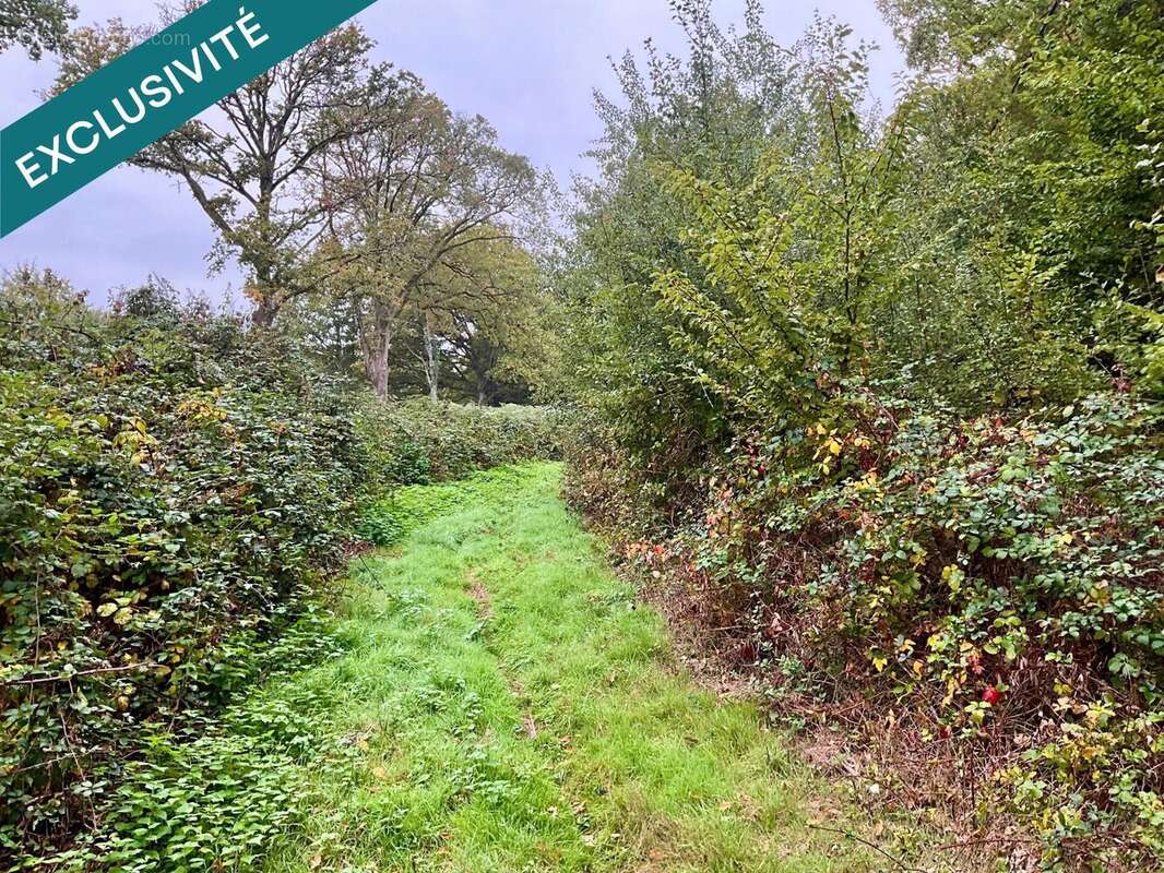 Photo 2 - Terrain à VOUZERON