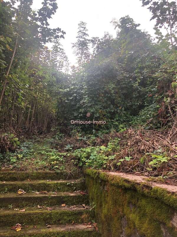 Terrain à BOURBONNE-LES-BAINS