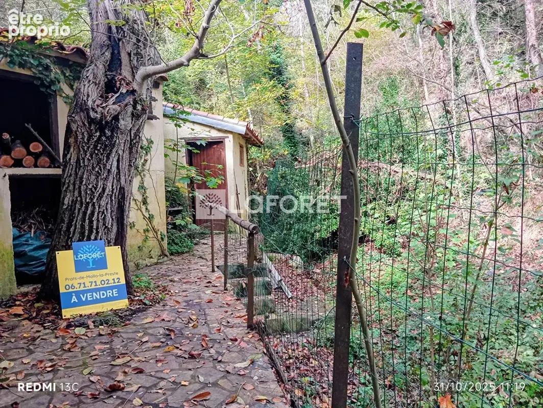 Maison 55 m²/929m² - Prats De Mollo - photo 14
