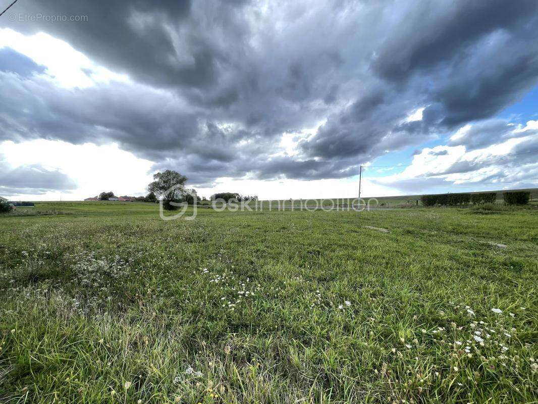 Terrain à GIFFAUMONT-CHAMPAUBERT