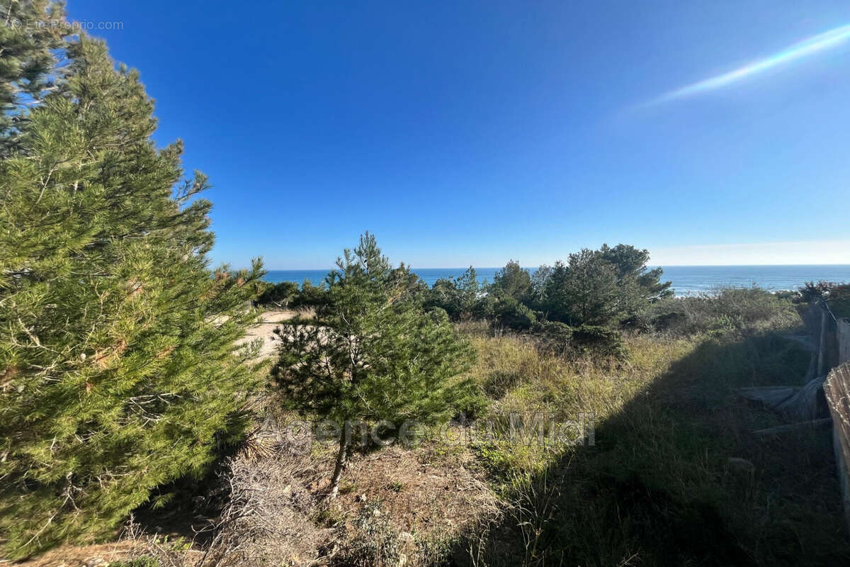 Terrain à LEUCATE
