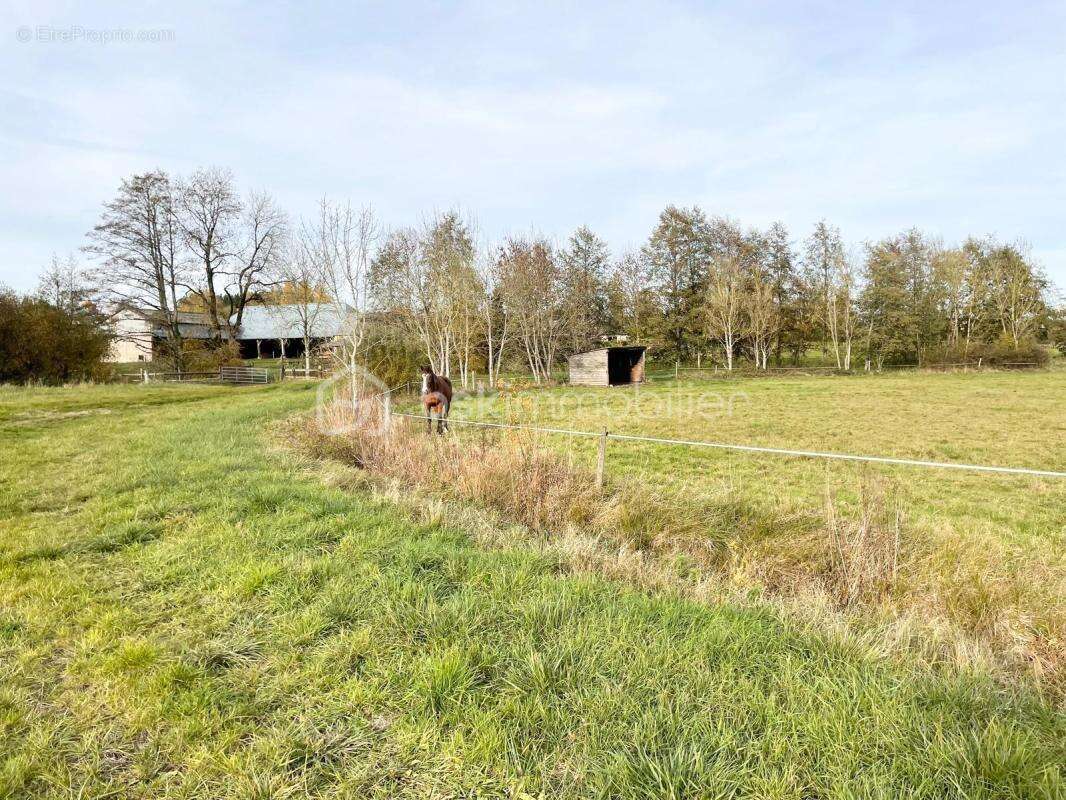 Maison à LAUNOIS-SUR-VENCE