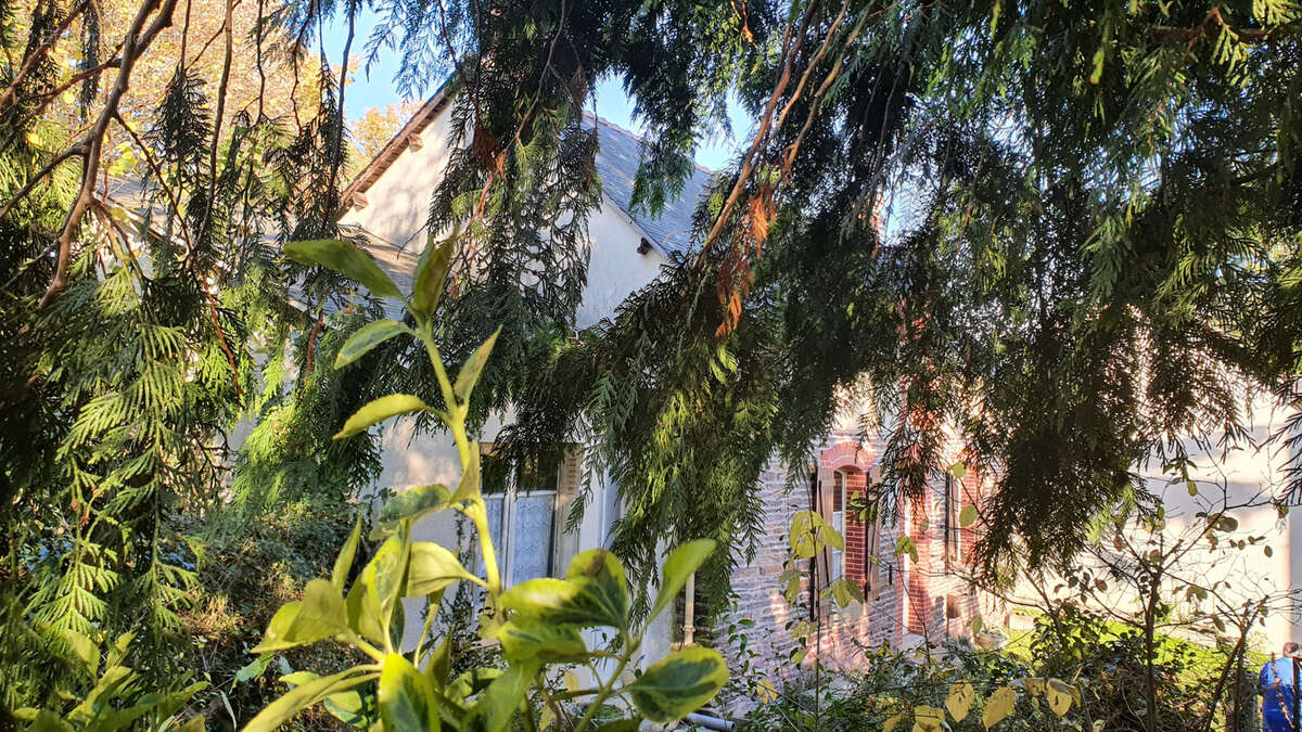 Maison à NOYAL-CHATILLON-SUR-SEICHE