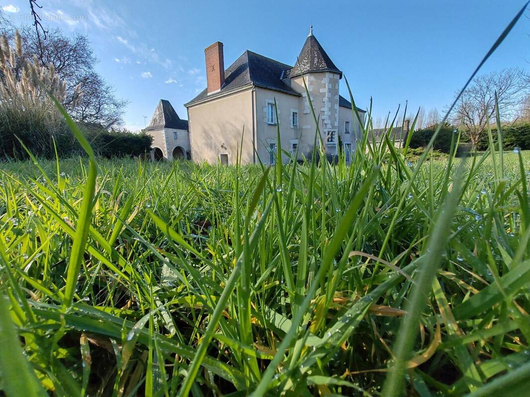 Photo 1 - Maison à ANGERS