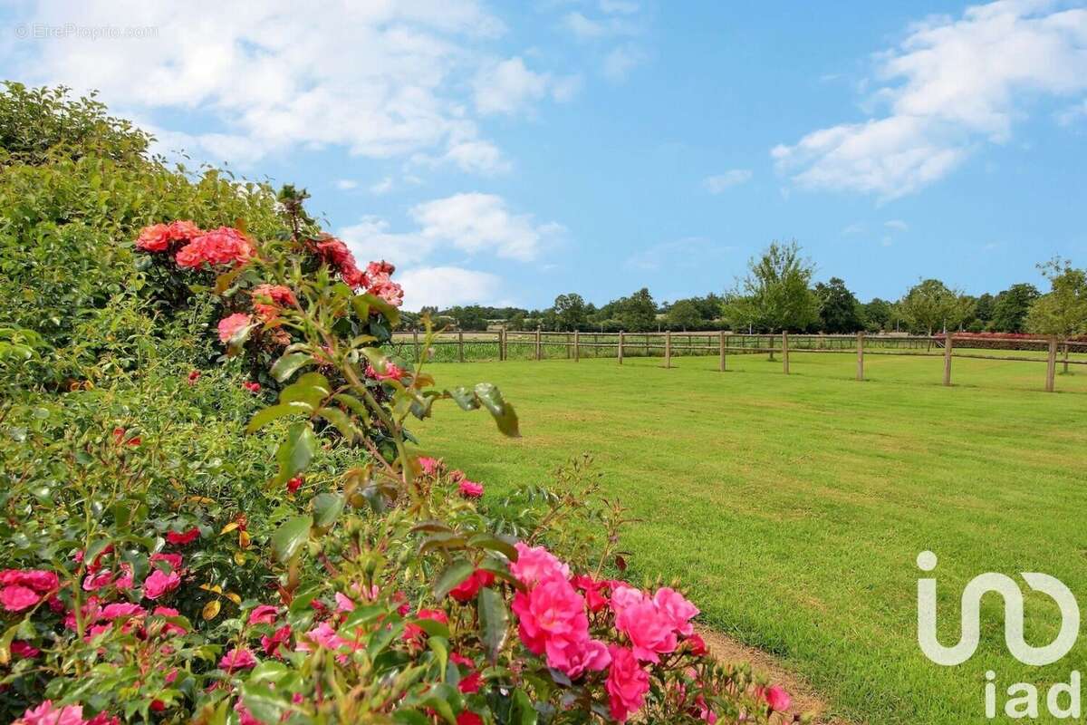 Photo 6 - Maison à BELLOU-EN-HOULME