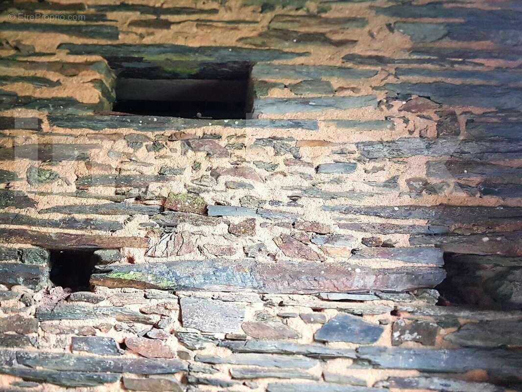 Brochard sélection photos pour pub (9) - Maison à SAINT-MARS-LA-JAILLE