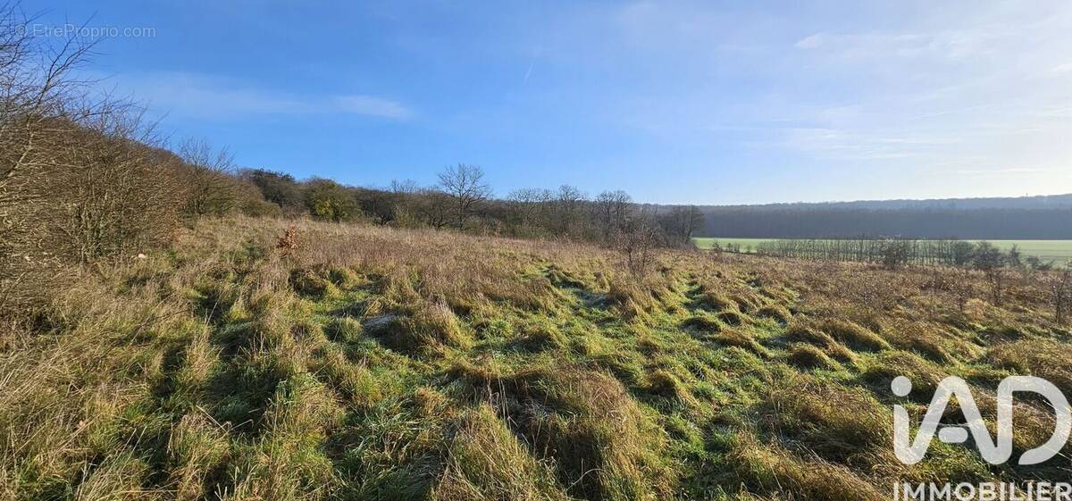 Photo 1 - Terrain à VILLERS-COTTERETS