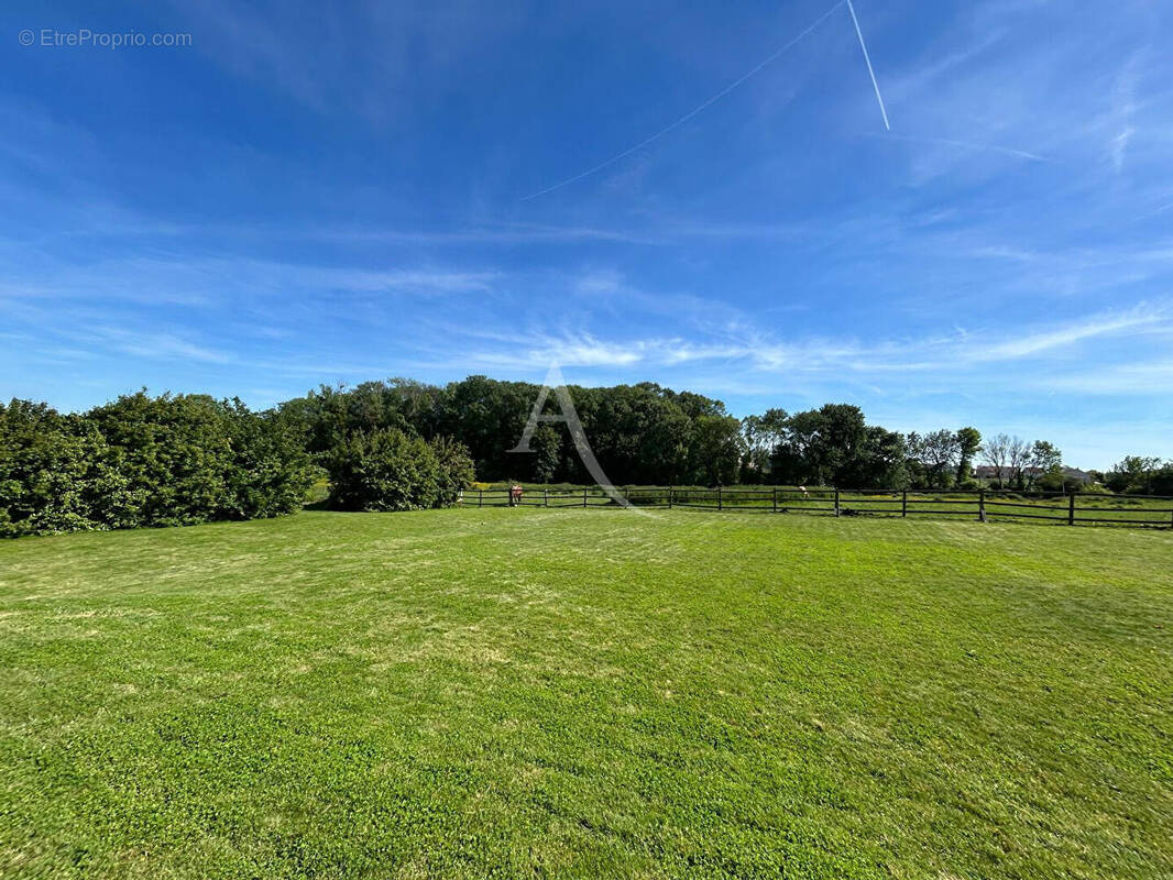 Terrain à PRESLES-EN-BRIE