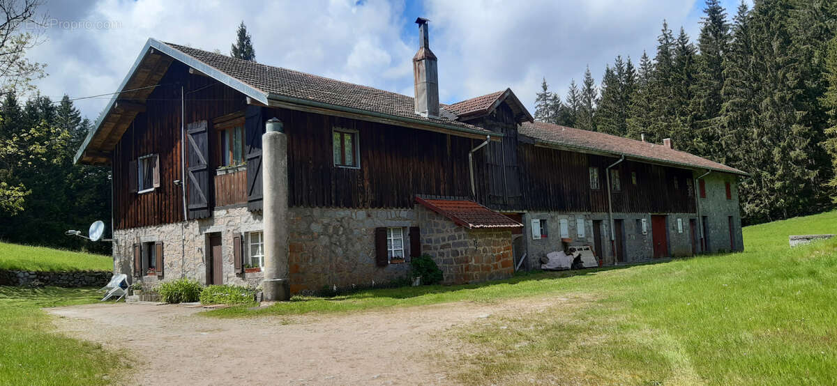 Terrain à GERARDMER