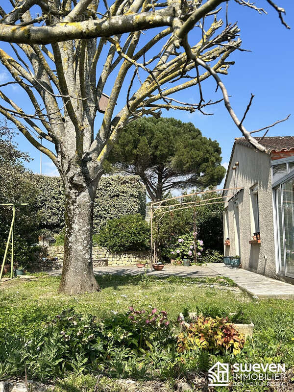 Maison à CARCASSONNE